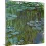 Nympheas a Giverny-waterlilies at Giverny,1918-Claude Monet-Mounted Giclee Print