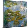 Nympheas  - Bassin Aux Nenuphars a Giverny - Peinture De Claude Monet (1840-1926), Huile Sur Toile-Claude Monet-Mounted Giclee Print