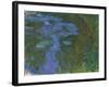 Nympheas, C. 1914-1917-Claude Monet-Framed Giclee Print