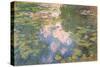 Nympheas, c.1919-22-Claude Monet-Stretched Canvas