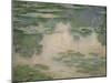 Nympheas. Canvas, 82 x 102 cm Inv. 89.-Claude Monet-Mounted Giclee Print