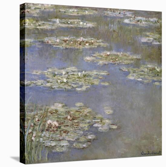 Nympheas, circa 1905-Claude Monet-Stretched Canvas