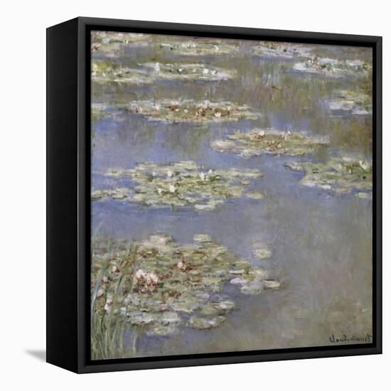 Nympheas, circa 1905-Claude Monet-Framed Stretched Canvas