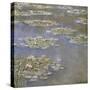 Nympheas, circa 1905-Claude Monet-Stretched Canvas