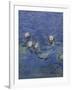 Nympheas-Detail-Claude Monet-Framed Giclee Print