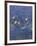 Nympheas-Detail-Claude Monet-Framed Giclee Print