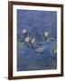 Nympheas-Detail-Claude Monet-Framed Giclee Print