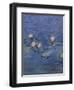 Nympheas-Detail-Claude Monet-Framed Giclee Print