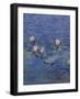 Nympheas-Detail-Claude Monet-Framed Giclee Print