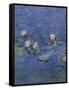 Nympheas-Detail-Claude Monet-Framed Stretched Canvas