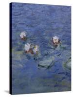 Nympheas-Detail-Claude Monet-Stretched Canvas