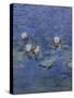 Nympheas-Detail-Claude Monet-Stretched Canvas