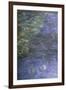 Nympheas, Detail-Claude Monet-Framed Giclee Print