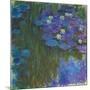 Nymphéas En Fleur, 1914-17 (Oil on Canvas)-Claude Monet-Mounted Giclee Print