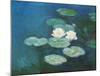 Nympheas in the Evening-Claude Monet-Mounted Art Print