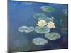 Nympheas: Sun Effects-Claude Monet-Mounted Premium Giclee Print