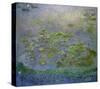 Nymphéas (Waterlilies), c. 1914-17-Claude Monet-Stretched Canvas