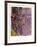 Nympheas-Claude Monet-Framed Art Print