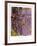 Nympheas-Claude Monet-Framed Art Print