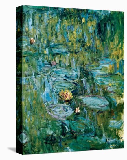 Nympheas-Claude Monet-Stretched Canvas