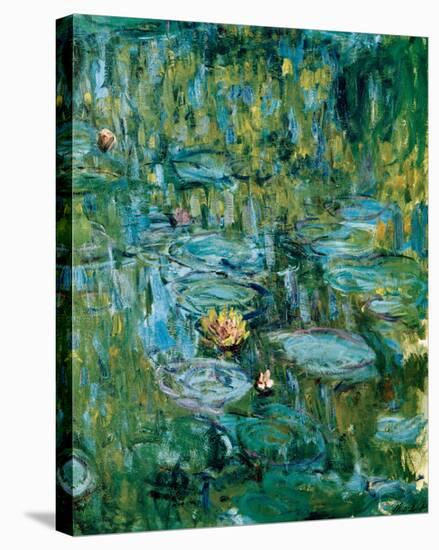 Nympheas-Claude Monet-Stretched Canvas