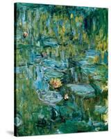 Nympheas-Claude Monet-Stretched Canvas