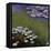 Nympheas-Claude Monet-Framed Stretched Canvas