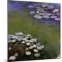 Nympheas-Claude Monet-Mounted Giclee Print