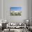 Nymphenburg Palace and Park in Munich, Bavaria, Germany.-Martin Zwick-Photographic Print displayed on a wall