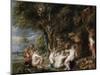 Nymphs and Satyrs, C. 1615-Peter Paul Rubens-Mounted Premium Giclee Print