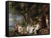 Nymphs and Satyrs, C. 1615-Peter Paul Rubens-Framed Stretched Canvas