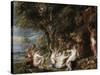 Nymphs and Satyrs, C. 1615-Peter Paul Rubens-Stretched Canvas