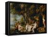 Nymphs and Satyrs-Peter Paul Rubens-Framed Stretched Canvas