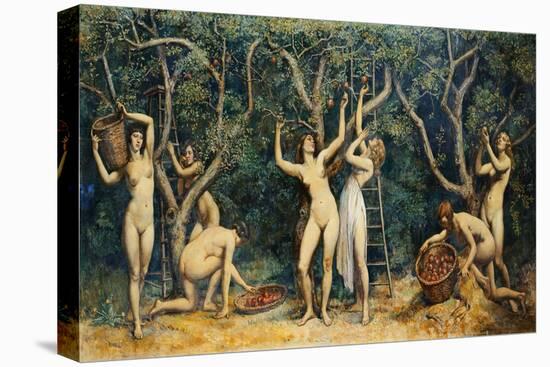 Nymphs Collecting Apples, (Oil on Canvas)-Randolph Schwabe-Stretched Canvas