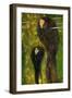 Nymphs (Silver Fis), 1899-Gustav Klimt-Framed Giclee Print