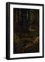 Nymps in the Forest Spring, ca. 1846-Moritz Von Schwind-Framed Giclee Print