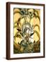 Brown Frame