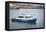 NYPD New York Police Boat Photo Poster-null-Framed Stretched Canvas