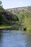 Gila River-nytumbleweeds-Photographic Print