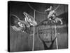 Nyu Basketball Team Playing in Game-Ralph Morse-Stretched Canvas