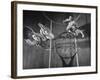 Nyu Basketball Team Playing in Game-Ralph Morse-Framed Photographic Print