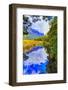 NZ Mirror Lake Green Vert-zetter-Framed Photographic Print