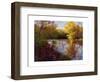 O'Bannon Fall-Mary Jean Weber-Framed Art Print