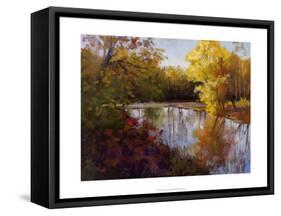 O'Bannon Fall-Mary Jean Weber-Framed Stretched Canvas