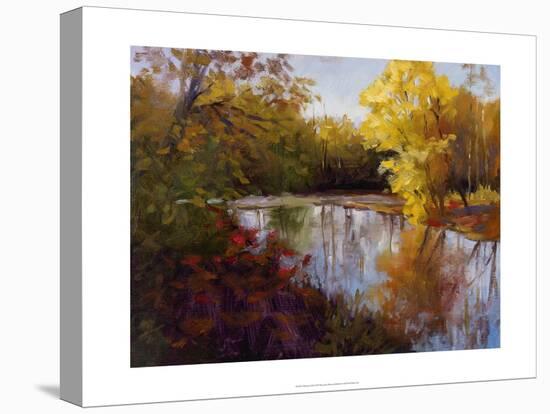 O'Bannon Fall-Mary Jean Weber-Stretched Canvas