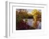 O'Bannon Fall-Mary Jean Weber-Framed Art Print