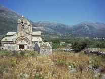 Donkey and Cat, Kastelli, Chania District, Crete, Greek Islands, Greece, Europe-O'callaghan Jane-Photographic Print