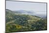 O Cebreiro, Lugo, Galicia, Spain, Europe-Michael Snell-Mounted Photographic Print