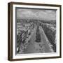 O'Connell St, Lack of Cars Has Made Dublin's Leaves Greener, Horses Have Caused New Influx of Flies-David Scherman-Framed Photographic Print