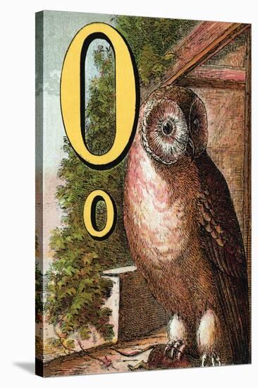 O For the Owl That Sees In the Dark-Edmund Evans-Stretched Canvas